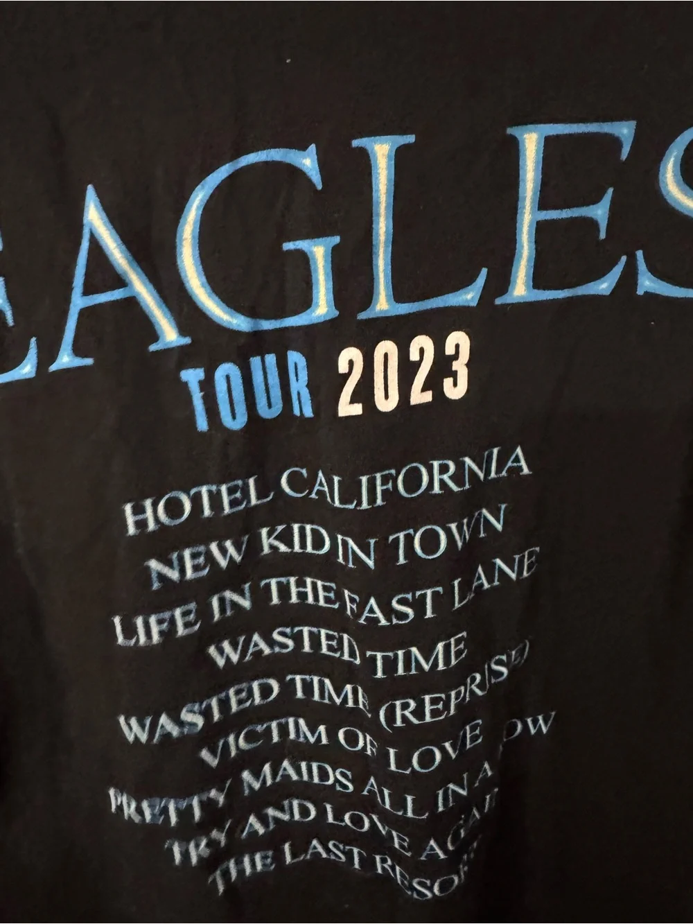 eagles hotel california t shirt vintage Large (CL-4)